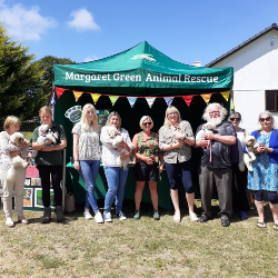 Novelty Dog Show